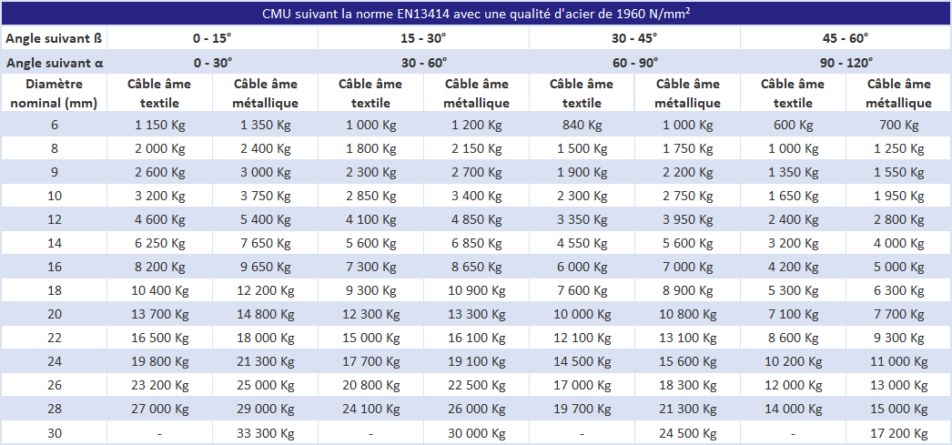 Élingue chaîne C208-COLR - Charge CMU : 2,8 tonnes - Diamètre du